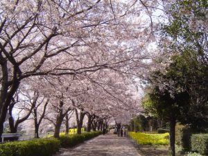 ☆今日から新年度！