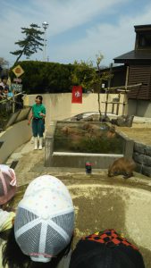 ☆動物園に行ってきました