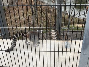 【秋田市新築注文デザイン住宅スタッフブログ】☆久々の動物園♪